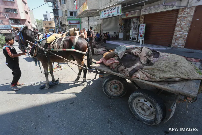 A Palestinian leather tannery worker, salts the hides of sacrificial animals before drying them, during second day of Eid al-Adha or the feast of sacrifice, in a workshop in Gaza city on September 13, 2016. Muslims acros...