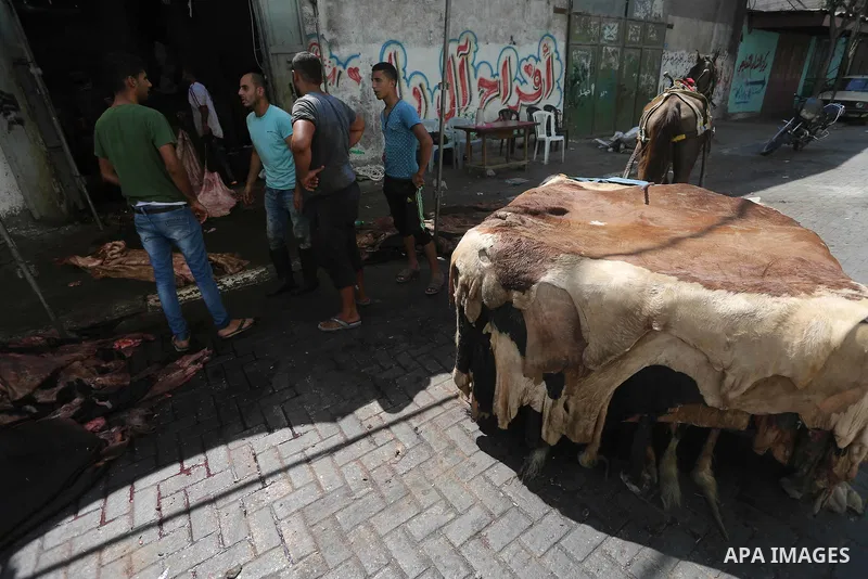 A Palestinian leather tannery worker, salts the hides of sacrificial animals before drying them, during second day of Eid al-Adha or the feast of sacrifice, in a workshop in Gaza city on September 13, 2016. Muslims acros...