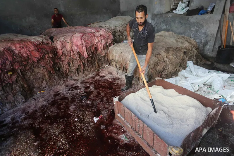A Palestinian leather tannery worker, salts the hides of sacrificial animals before drying them, during second day of Eid al-Adha or the feast of sacrifice, in a workshop in Gaza city on September 13, 2016. Muslims acros...