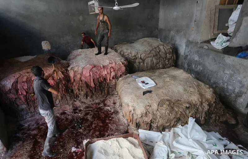 A Palestinian leather tannery worker, salts the hides of sacrificial animals before drying them, during second day of Eid al-Adha or the feast of sacrifice, in a workshop in Gaza city on September 13, 2016. Muslims acros...