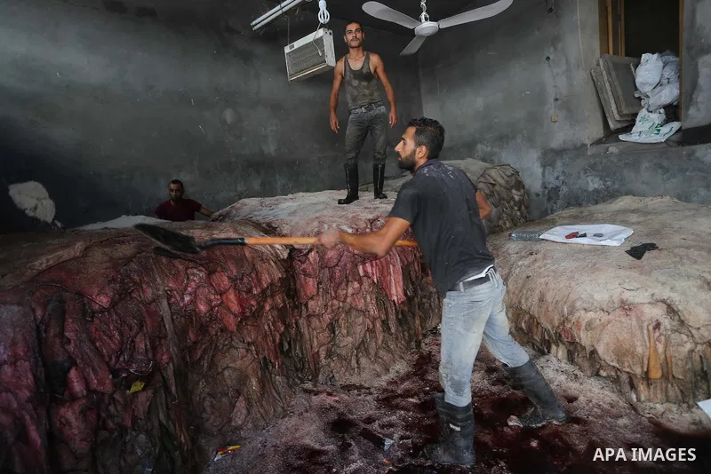 A Palestinian leather tannery worker, salts the hides of sacrificial animals before drying them, during second day of Eid al-Adha or the feast of sacrifice, in a workshop in Gaza city on September 13, 2016. Muslims acros...