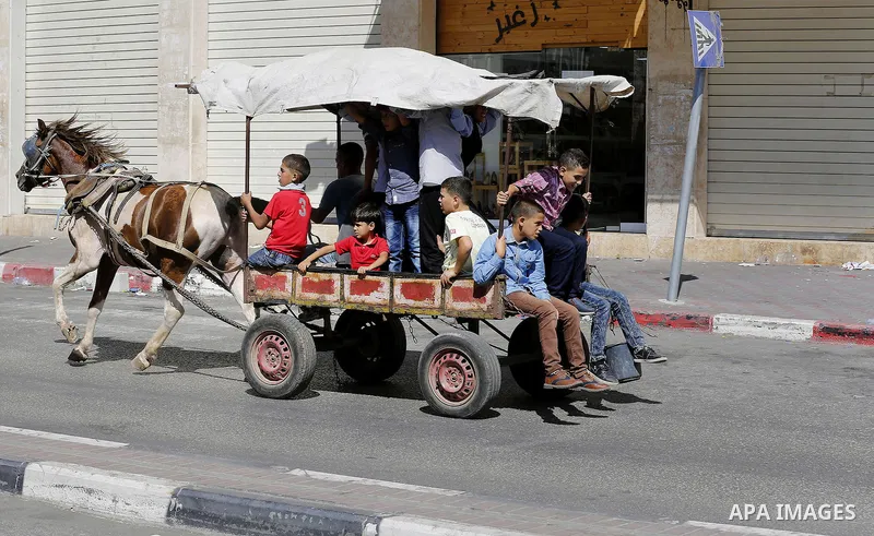 Palestinians enjoy the second day of Eid al-Adha or the feast of sacrifice, in the West Bank city of Hebron, on Sep. 13, 2016. Muslims across the world are celebrating the annual festival of Eid al-Adha, or the Festival...