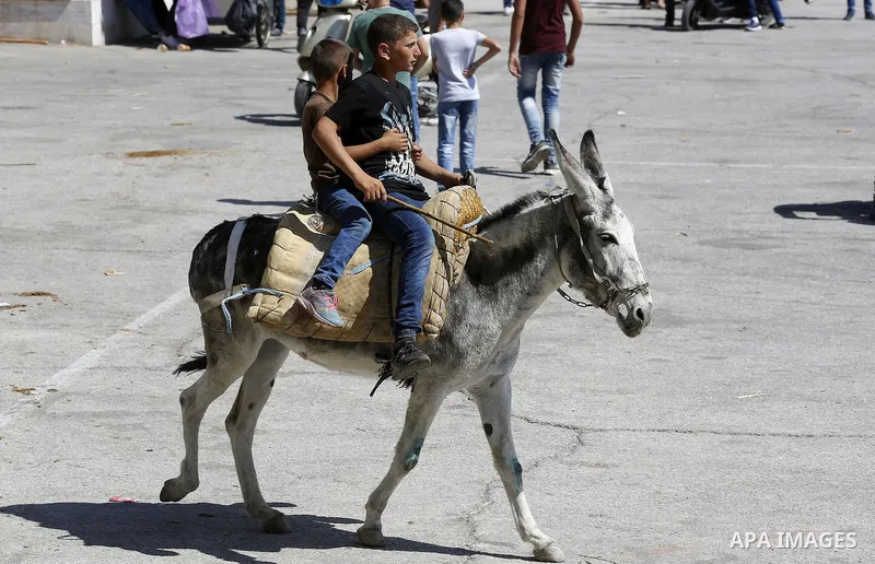 Palestinians enjoy the second day of Eid al-Adha or the feast of sacrifice, in the West Bank city of Hebron, on Sep. 13, 2016. Muslims across the world are celebrating the annual festival of Eid al-Adha, or the Festival...