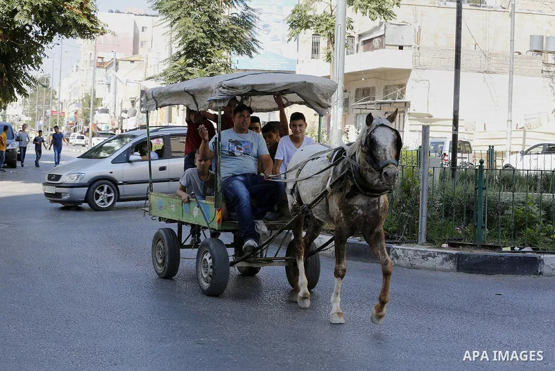 Palestinians enjoy the second day of Eid al-Adha or the feast of sacrifice, in the West Bank city of Hebron, on Sep. 13, 2016. Muslims across the world are celebrating the annual festival of Eid al-Adha, or the Festival...