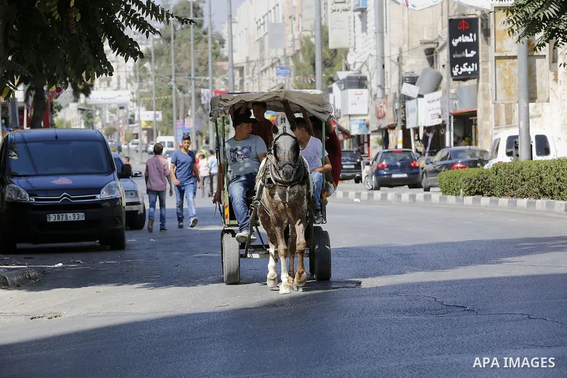 Palestinians enjoy the second day of Eid al-Adha or the feast of sacrifice, in the West Bank city of Hebron, on Sep. 13, 2016. Muslims across the world are celebrating the annual festival of Eid al-Adha, or the Festival...