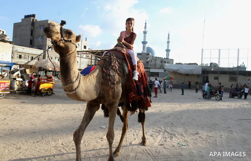 Palestinian children ride a camel on the second day of Eid al-Adha or the feast of sacrifice, in Rafah in the southern of Gaza strip, on Sep. 13, 2016. Muslims across the world are celebrating the annual festival of Eid...