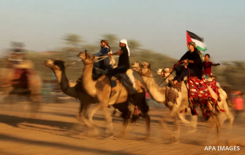 Palestinians ride camels during a Bedouin festival in Dair Al Balah in the central Gaza Strip September 16, 2016. Photo by Ashraf Amra