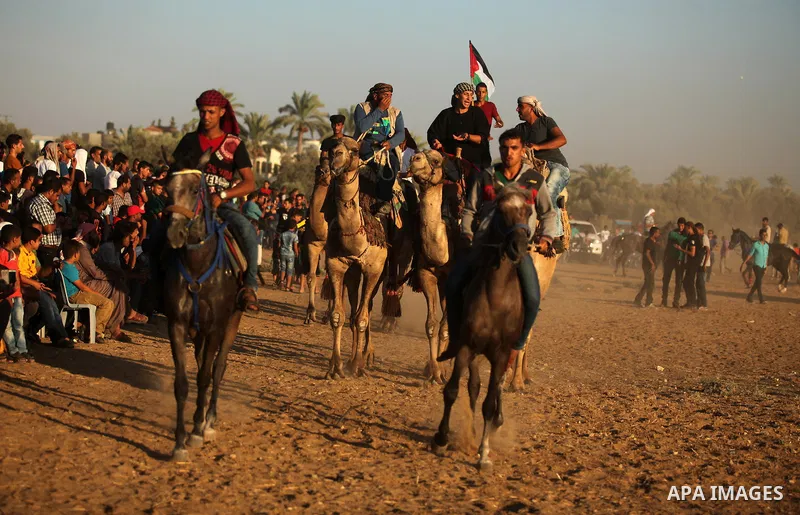 Palestinians ride horses and camels during a Bedouin festival in Dair Al Balah in the central Gaza Strip September 16, 2016. Photo by Ashraf Amra