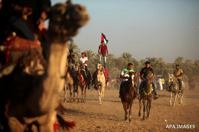 Palestinians ride horses and camels during a Bedouin festival in Dair Al Balah in the central Gaza Strip September 16, 2016. Photo by Ashraf Amra