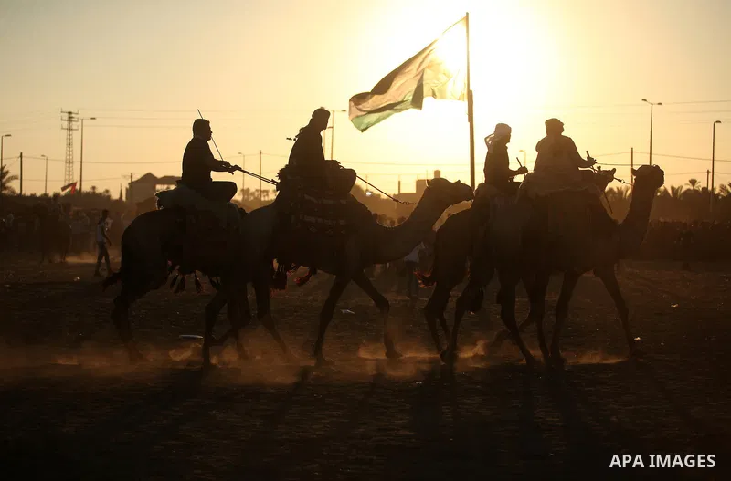 Palestinians ride camels during a Bedouin festival in Dair Al Balah in the central Gaza Strip September 16, 2016. Photo by Ashraf Amra