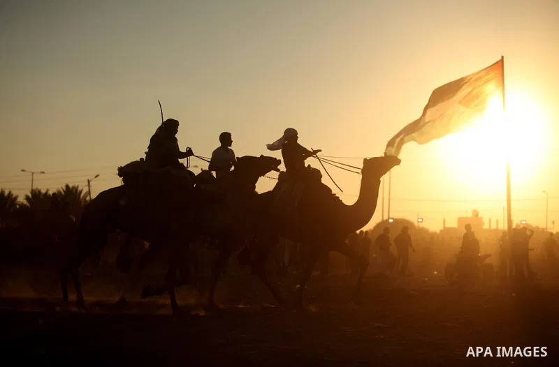 Palestinians ride camels during a Bedouin festival in Dair Al Balah in the central Gaza Strip September 16, 2016. Photo by Ashraf Amra