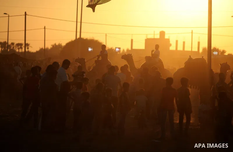 Palestinians ride camels during a Bedouin festival in Dair Al Balah in the central Gaza Strip September 16, 2016. Photo by Ashraf Amra