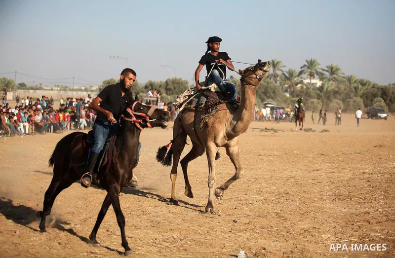 Palestinians ride horses during a Bedouin festival in Dair Al Balah in the central Gaza Strip September 16, 2016. Photo by Ashraf Amra