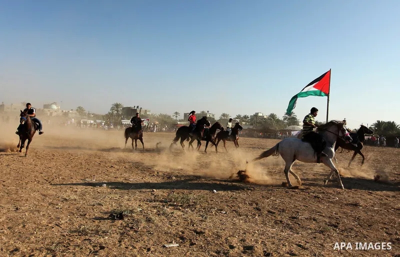 Palestinians ride horses during a Bedouin festival in Dair Al Balah in the central Gaza Strip September 16, 2016. Photo by Ashraf Amra