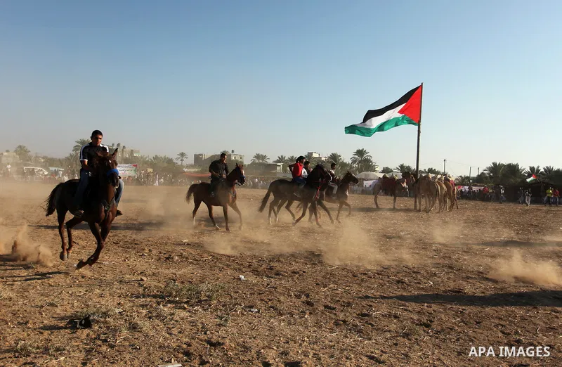 Palestinians ride horses during a Bedouin festival in Dair Al Balah in the central Gaza Strip September 16, 2016. Photo by Ashraf Amra
