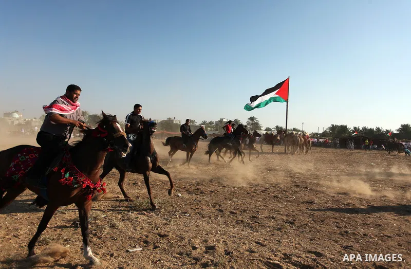 Palestinians ride horses during a Bedouin festival in Dair Al Balah in the central Gaza Strip September 16, 2016. Photo by Ashraf Amra
