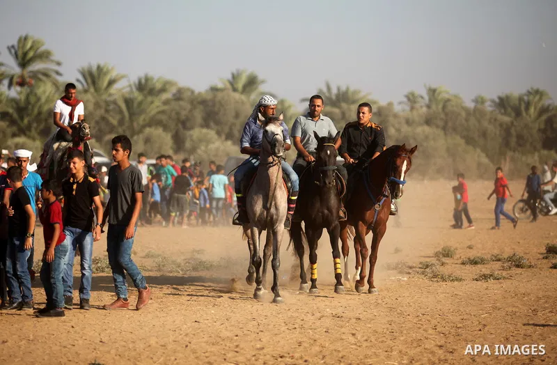 Palestinians ride horses during a Bedouin festival in Dair Al Balah in the central Gaza Strip September 16, 2016. Photo by Ashraf Amra