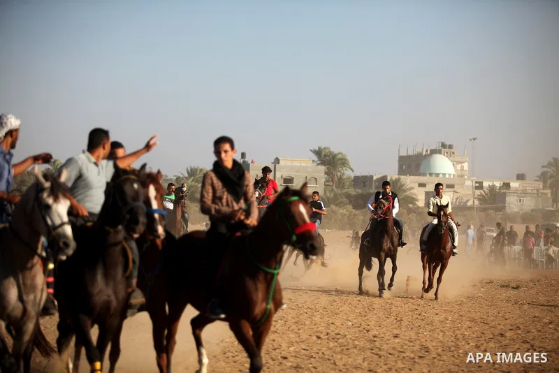 Palestinians ride horses during a Bedouin festival in Dair Al Balah in the central Gaza Strip September 16, 2016. Photo by Ashraf Amra