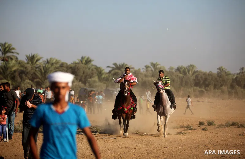 Palestinians ride horses during a Bedouin festival in Dair Al Balah in the central Gaza Strip September 16, 2016. Photo by Ashraf Amra