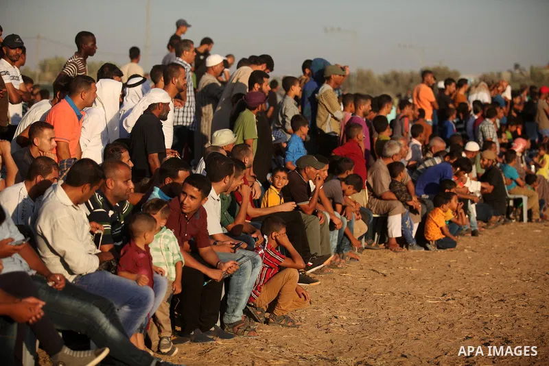 Palestinians attend a Bedouin festival in Dair Al Balah in the central Gaza Strip September 16, 2016. Photo by Ashraf Amra