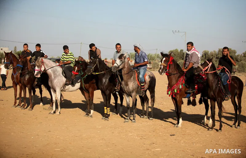 Palestinians ride horses during a Bedouin festival in Dair Al Balah in the central Gaza Strip September 16, 2016. Photo by Ashraf Amra