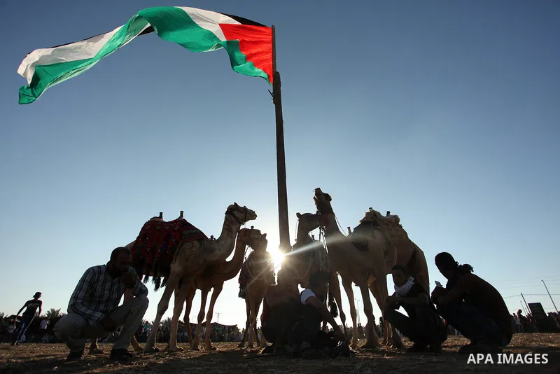 Palestinians ride camels during a Bedouin festival in Dair Al Balah in the central Gaza Strip September 16, 2016. Photo by Ashraf Amra