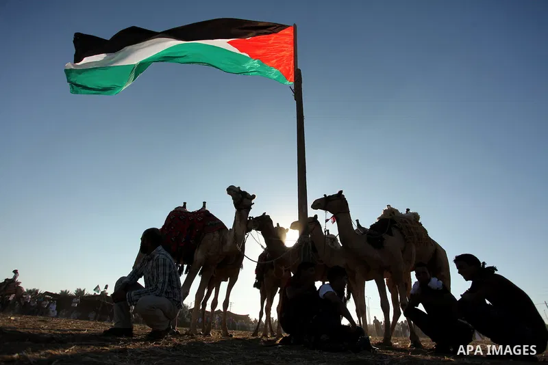 Palestinians ride camels during a Bedouin festival in Dair Al Balah in the central Gaza Strip September 16, 2016. Photo by Ashraf Amra