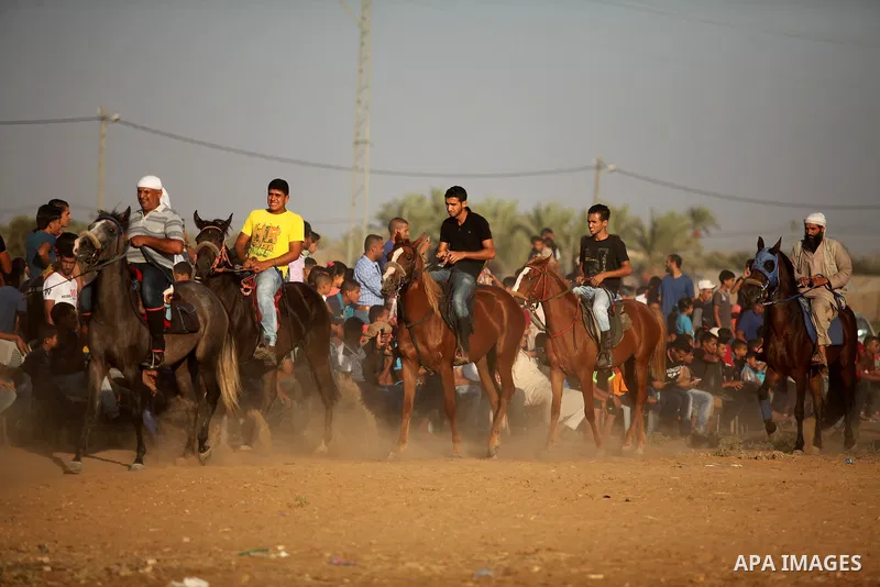 Palestinians ride horses during a Bedouin festival in Dair Al Balah in the central Gaza Strip September 16, 2016. Photo by Ashraf Amra
