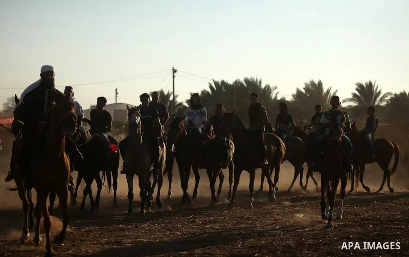 Palestinians ride horses during a Bedouin festival in Dair Al Balah in the central Gaza Strip September 16, 2016. Photo by Ashraf Amra