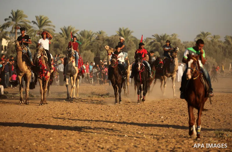 Palestinians ride horses during a Bedouin festival in Dair Al Balah in the central Gaza Strip September 16, 2016. Photo by Ashraf Amra