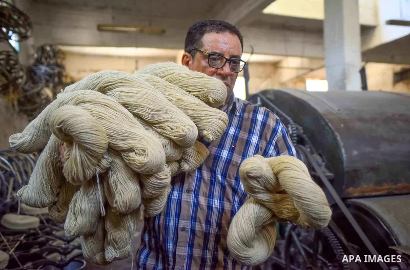 A worker prepares wool for production in a factory in Beheira Governorate, Egypt on September 3, 2016. Photo by Amr Sayed