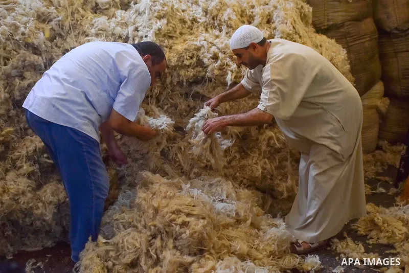A worker prepares wool for production in a factory in Beheira Governorate, Egypt on September 3, 2016. Photo by Amr Sayed