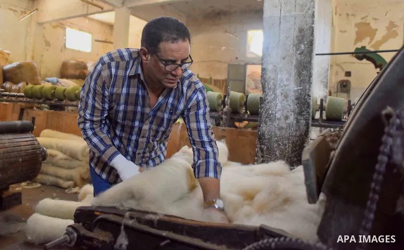 A worker prepares wool for production in a factory in Beheira Governorate, Egypt on September 3, 2016. Photo by Amr Sayed