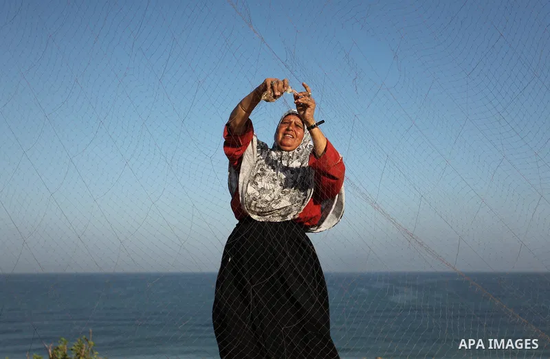A Palestinian woman takes out a quail from a net after catching it on a beach, in the central Gaza Strip September 20, 2016. Palestinians erected hundreds of meters of nets along the coastline in the Gaza Strip to hunt m...