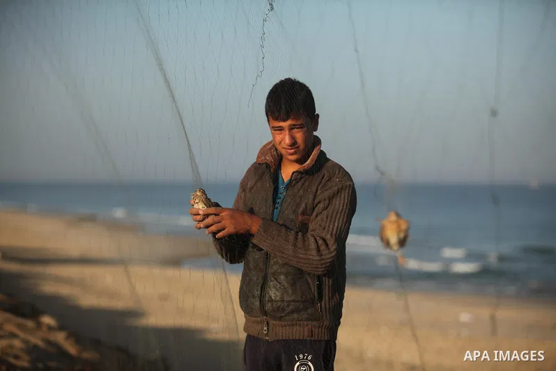 A Palestinian man takes out a quail from a net after catching it on a beach in Khan Younis, in the southern Gaza Strip September 20, 2016. Palestinians erected hundreds of meters of nets along the coastline in the Gaza S...