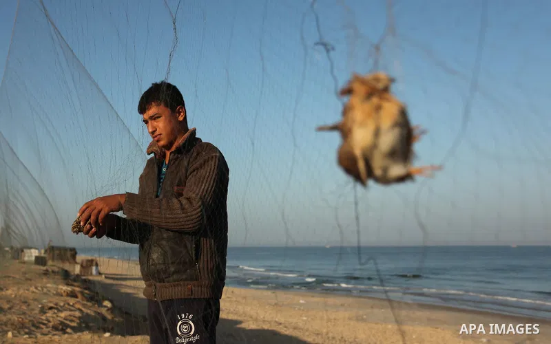 A Palestinian man takes out a quail from a net after catching it on a beach in Khan Younis, in the southern Gaza Strip September 20, 2016. Palestinians erected hundreds of meters of nets along the coastline in the Gaza S...