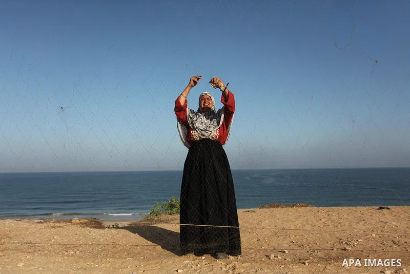 A Palestinian woman takes out a quail from a net after catching it on a beach, in the central Gaza Strip September 20, 2016. Palestinians erected hundreds of meters of nets along the coastline in the Gaza Strip to hunt m...