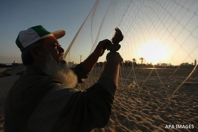 A Palestinian man takes out a quail from a net after catching it on a beach in Khan Younis, in the southern Gaza Strip September 20, 2016. Palestinians erected hundreds of meters of nets along the coastline in the Gaza S...