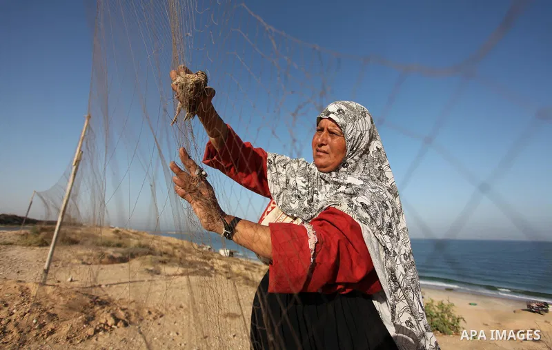 A Palestinian woman takes out a quail from a net after catching it on a beach, in the central Gaza Strip September 20, 2016. Palestinians erected hundreds of meters of nets along the coastline in the Gaza Strip to hunt m...