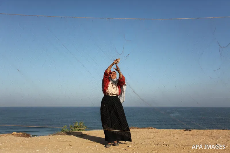 A Palestinian woman takes out a quail from a net after catching it on a beach, in the central Gaza Strip September 20, 2016. Palestinians erected hundreds of meters of nets along the coastline in the Gaza Strip to hunt m...