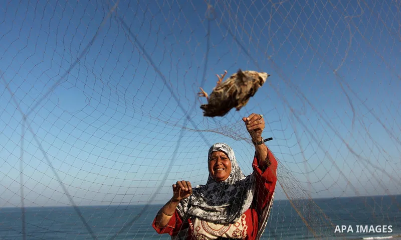 A Palestinian woman takes out a quail from a net after catching it on a beach, in the central Gaza Strip September 20, 2016. Palestinians erected hundreds of meters of nets along the coastline in the Gaza Strip to hunt m...