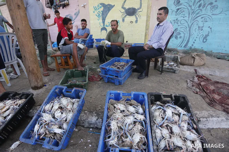 Palestinian fishermen display the crabs for sell at the beach in Gaza City, on Sept. 21, 2016. Photo by Mohammed Asad