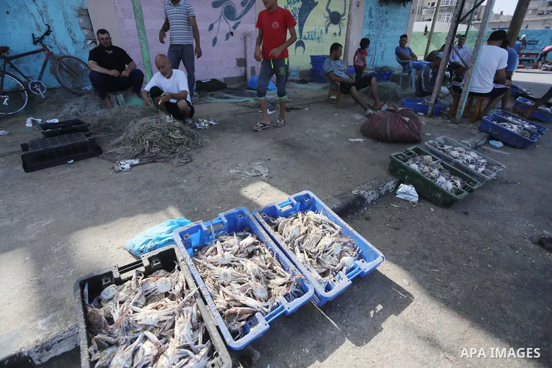 Palestinian fishermen display the crabs for sell at the beach in Gaza City, on Sept. 21, 2016. Photo by Mohammed Asad