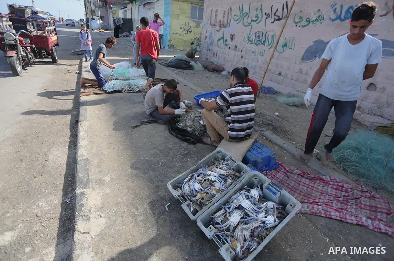 Palestinian fishermen display the crabs for sell at the beach in Gaza City, on Sept. 21, 2016. Photo by Mohammed Asad