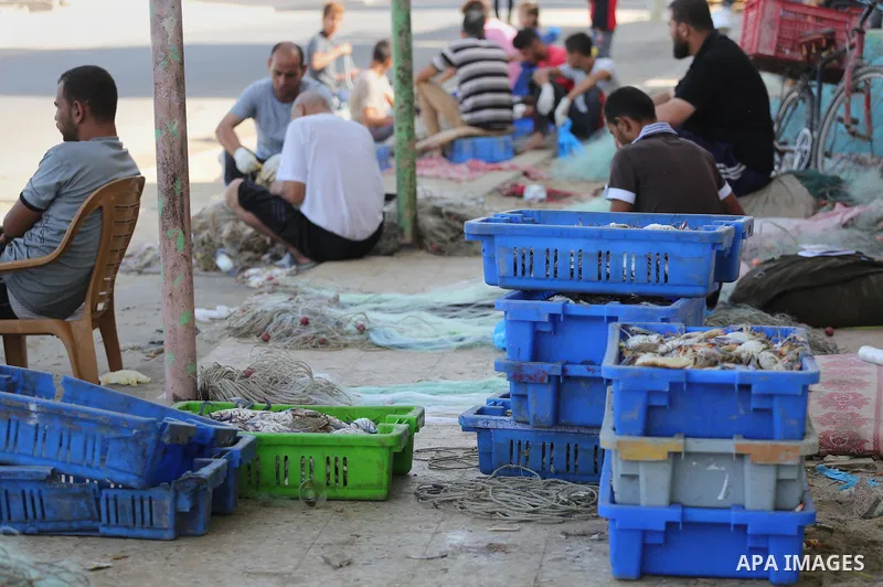 Palestinian fishermen display the crabs for sell at the beach in Gaza City, on Sept. 21, 2016. Photo by Mohammed Asad