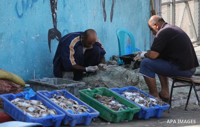Palestinian fishermen display the crabs for sell at the beach in Gaza City, on Sept. 21, 2016. Photo by Mohammed Asad