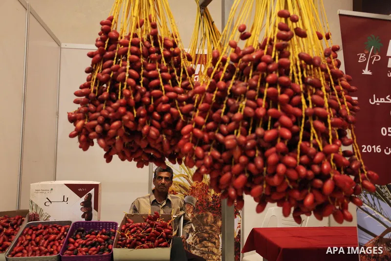 Palestinians attend an exhibition "Palestine Balah Expo", in Gaza city, on Oct. 09, 2016. Photo by Ashraf Amra