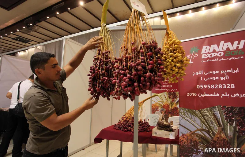 Palestinians attend an exhibition "Palestine Balah Expo", in Gaza city, on Oct. 09, 2016. Photo by Ashraf Amra