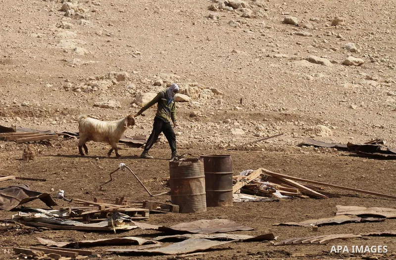 A Palestinian man leads a sheep as he inspects the remains of a house after it was demolished by Israeli authorities who said it was built without municipal permission on October 9, 2016 in the West Bank village of Khirb...