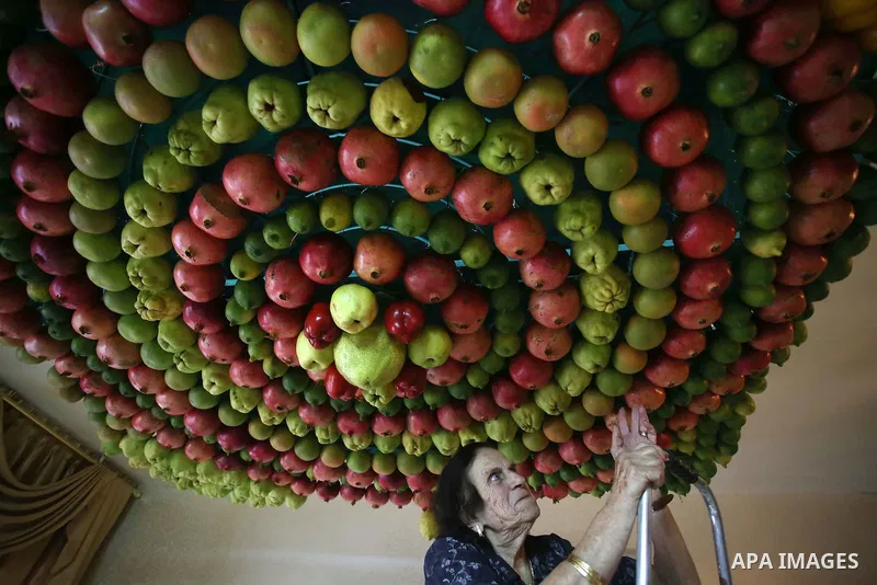 A member of the Samaritan sect decorates a traditional hut known as a sukkot with fruits and vegetables on Mount Gerizim, on the outskirts of the West Bank city of Nablus, October 13, 2016. A sukkot is a ritual hut used...